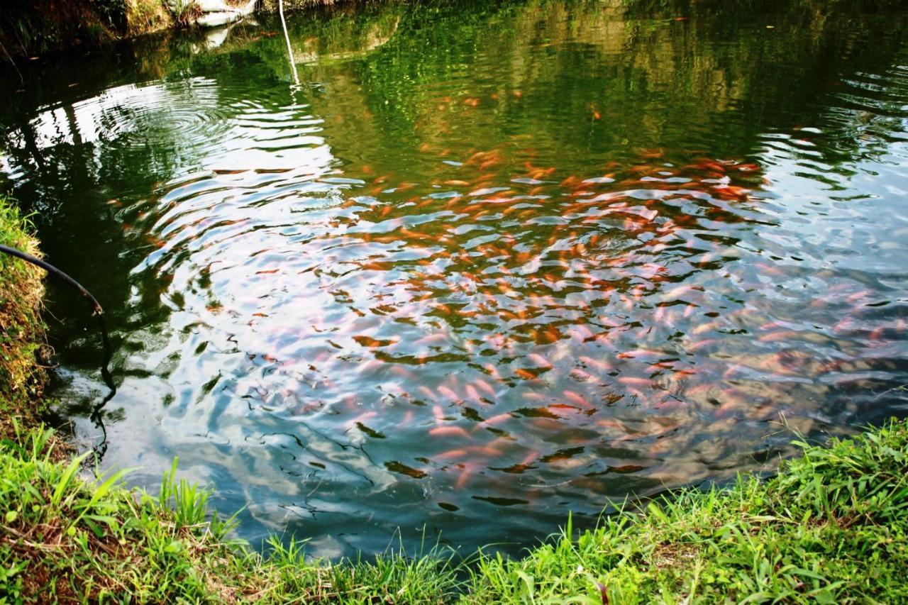 Cabanas Ecoturisticas Y Club Gaira Tayrona Βίλα Σάντα Μάρτα Εξωτερικό φωτογραφία